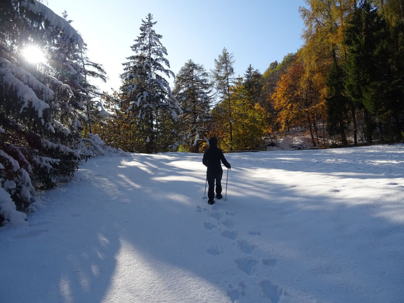 prime escursioni sulla neve....autunno  2019